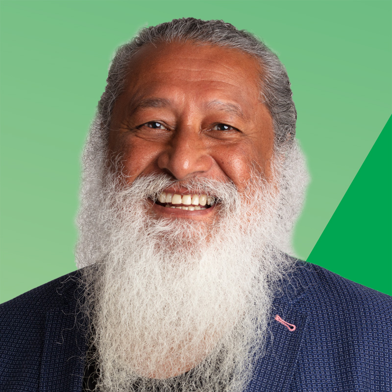 Peter Strong, 2021 Greens candidate for Bayside Council, Mascot Ward