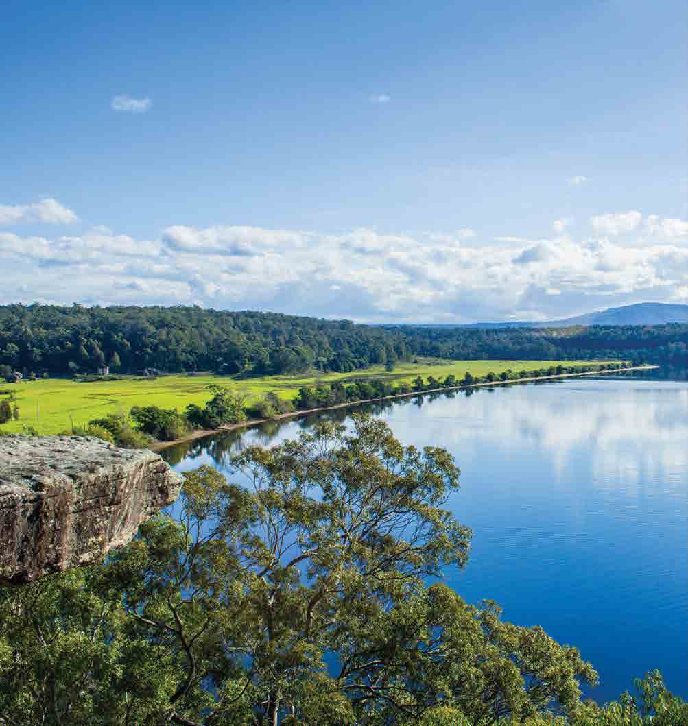 Shoalhaven River