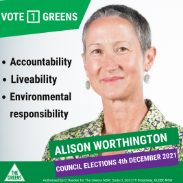 Vote 1 Greens Alison Worthington