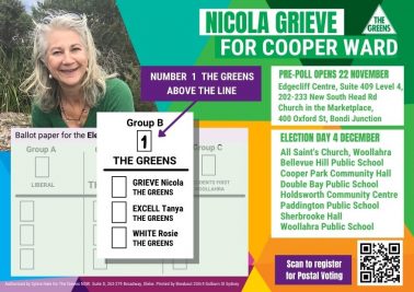 How-To-Vote Greens in Cooper Ward