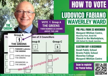 How-To-Vote Greens in Waverley Ward